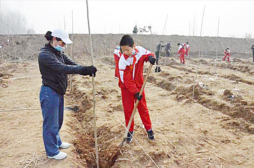 云顶集团集团有限公司内容图片展示